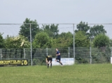 S.K.N.W.K. JO19-1 - Halsteren JO19-2 (competitie) 2024-2025 (3e fase) (123/225)
